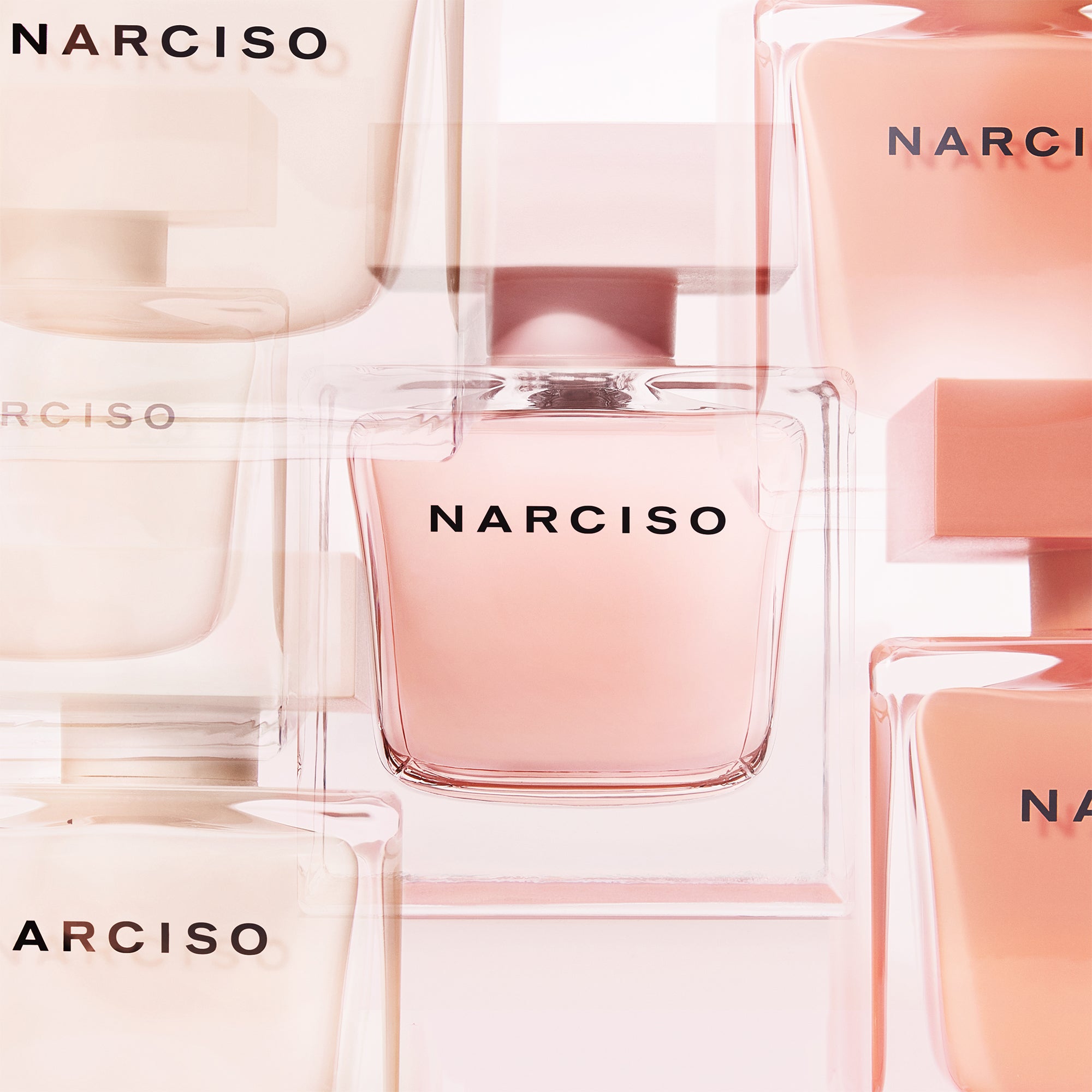 Narciso rodriguez online ambree