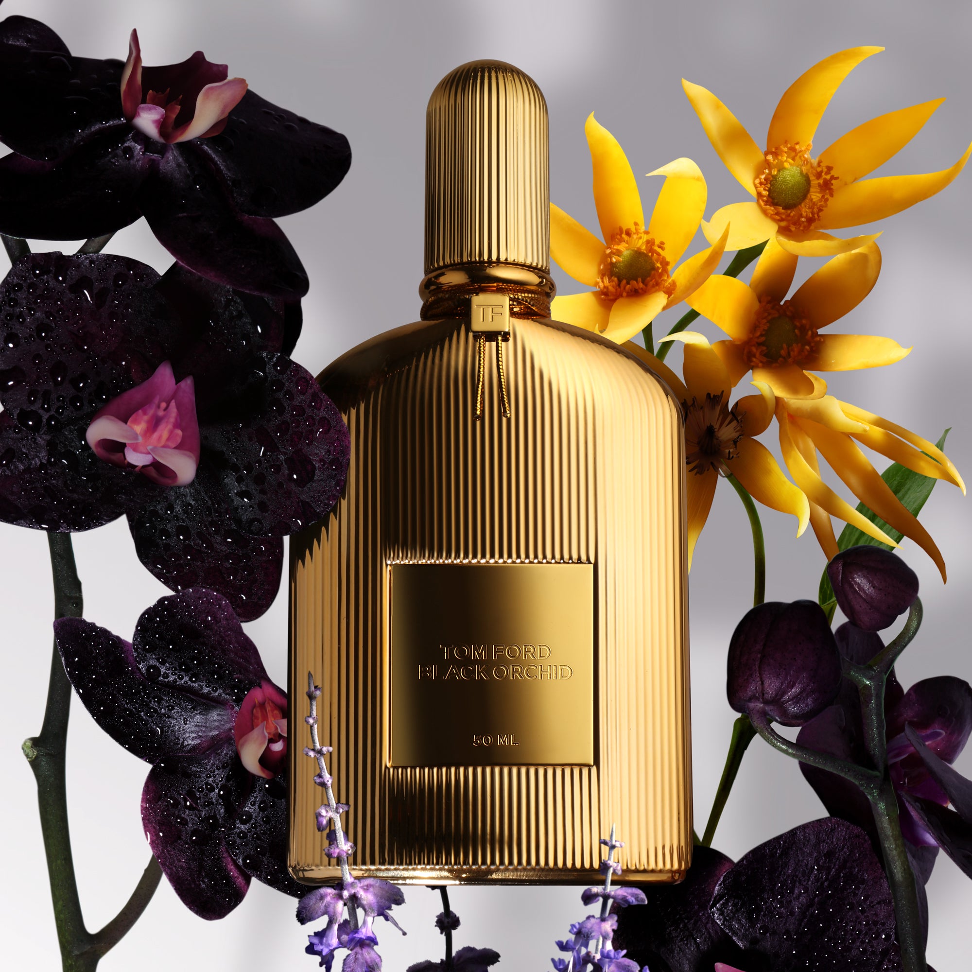 Tom Ford Black Orchid Parfum